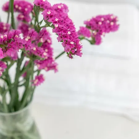 La Fontina De Luarca